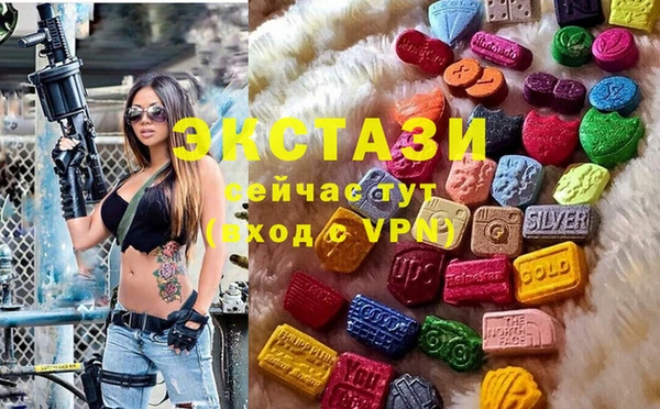 шишки Магас