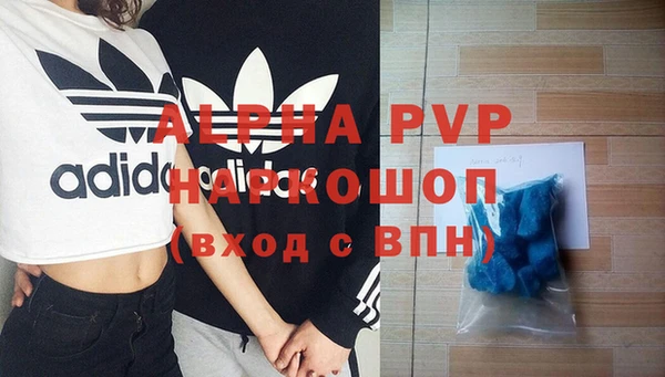 apvp Магадан