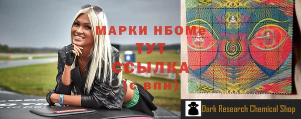 шишки Магас