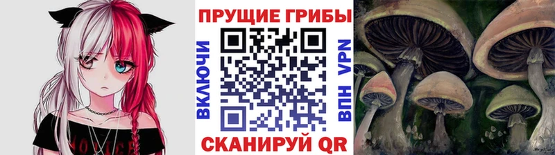 kraken как войти  Южа  Галлюциногенные грибы мицелий  как найти наркотики 